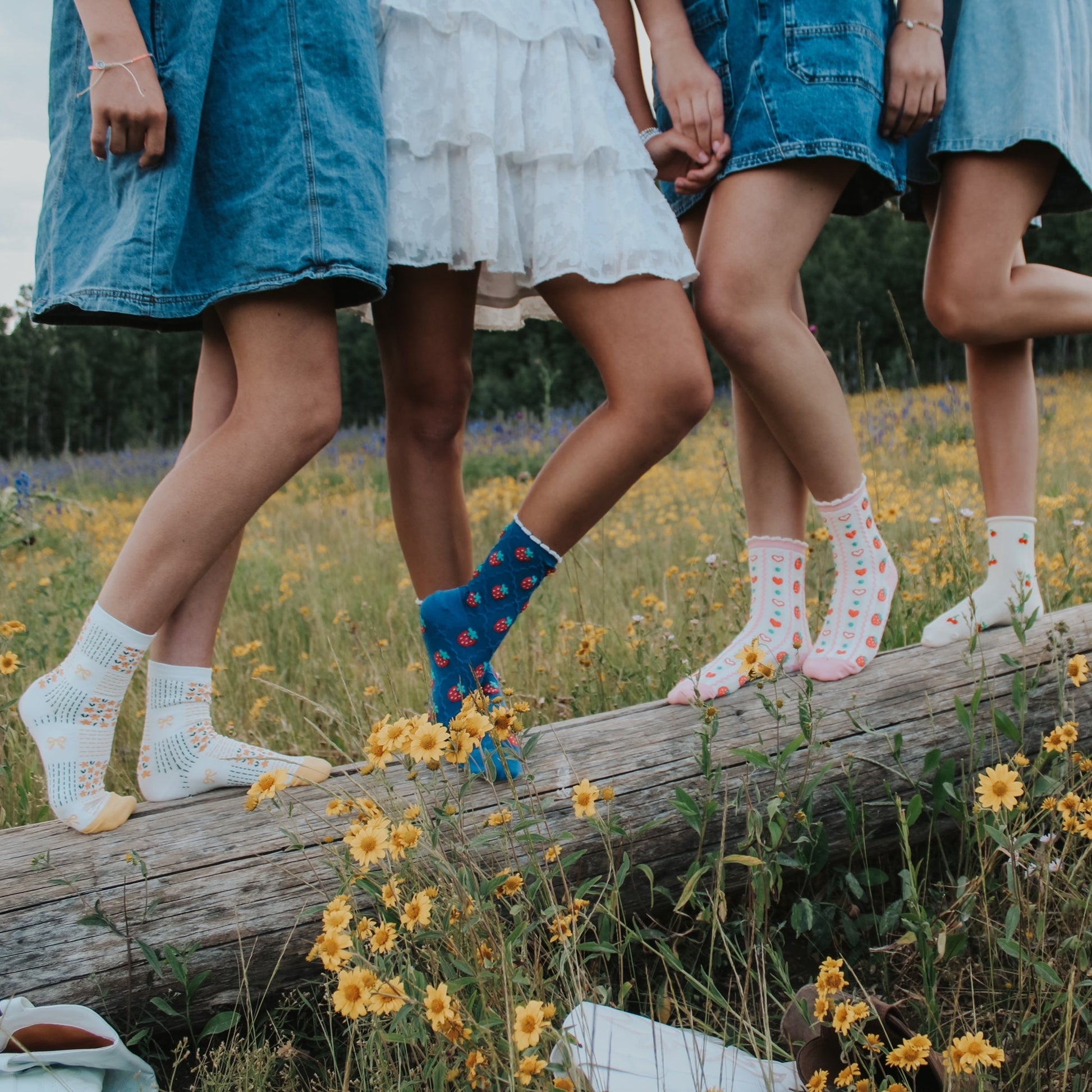 Four women in dresses and colorful socks standing on a log in a field with flowers.